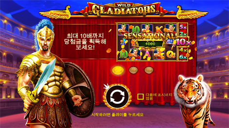 피라미드 보난자